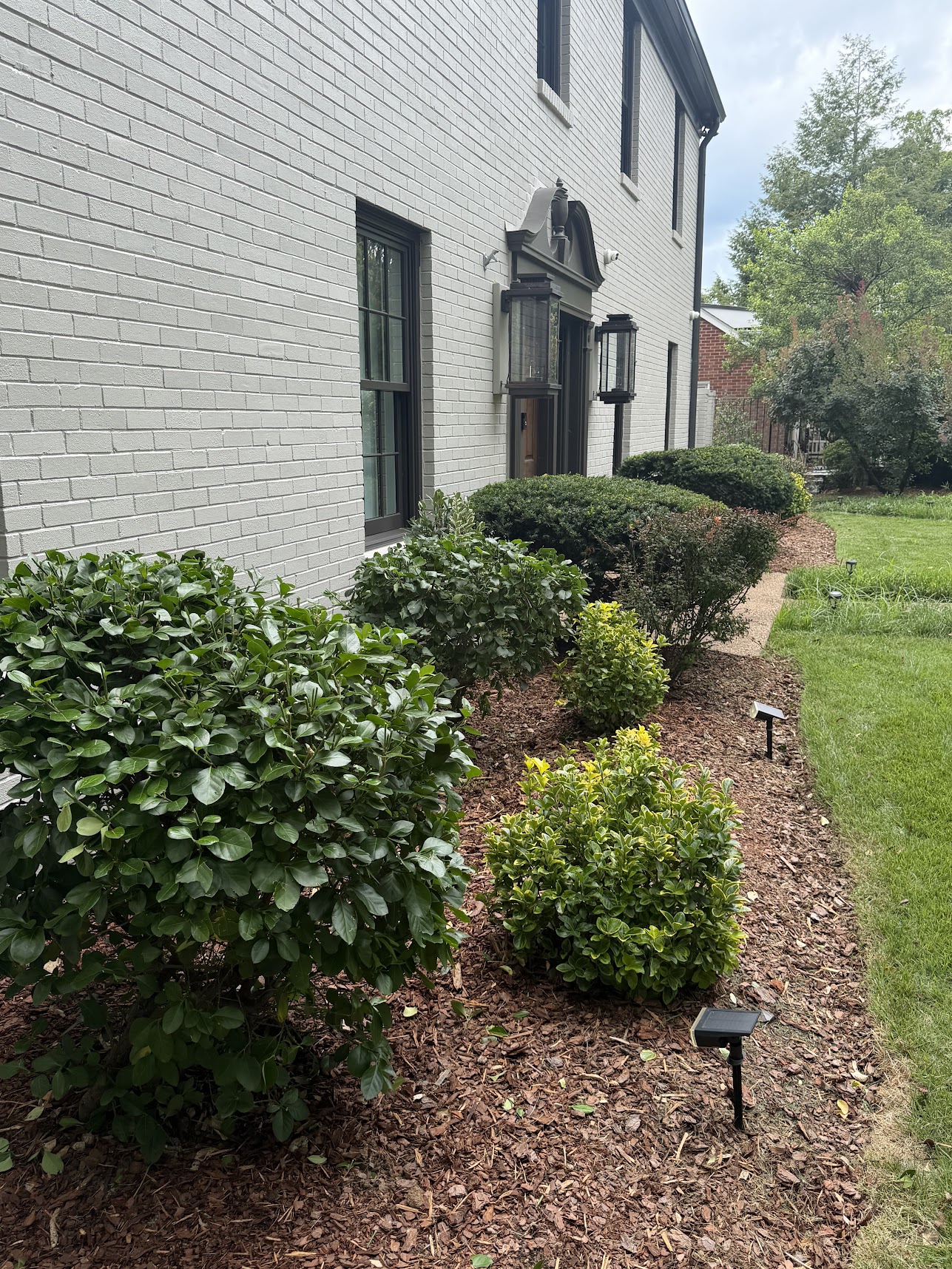 side of house with bushes and plants