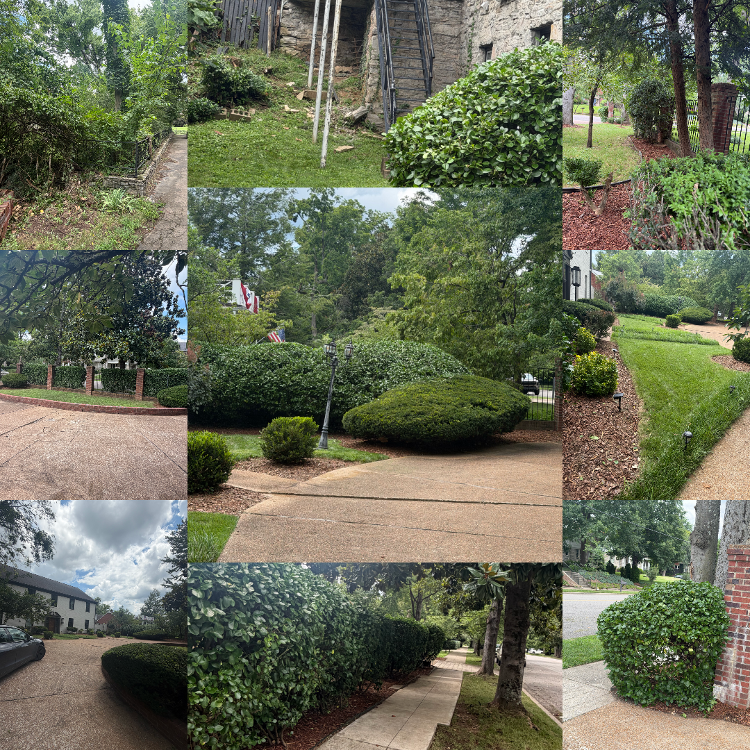 collage images of clean lawns with bushes and grass