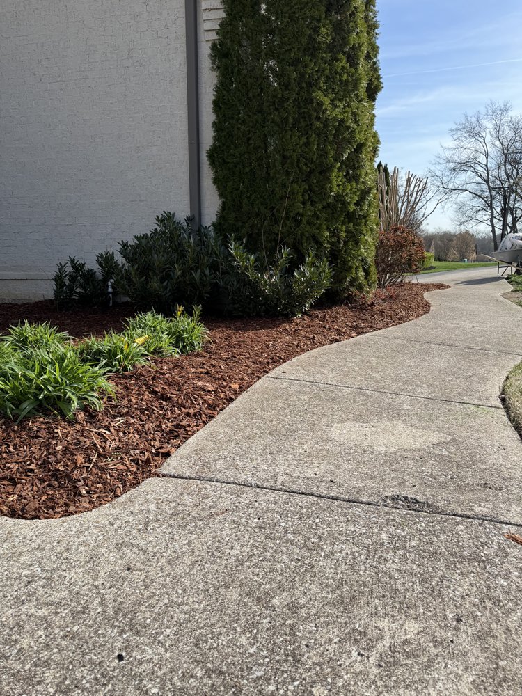 clean sidewalk next to mulch and bushes